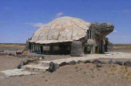 turtle-house-in-desert-awesome-shelter